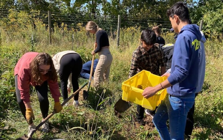 Campus Farms Provide More Than Produce to School Communities