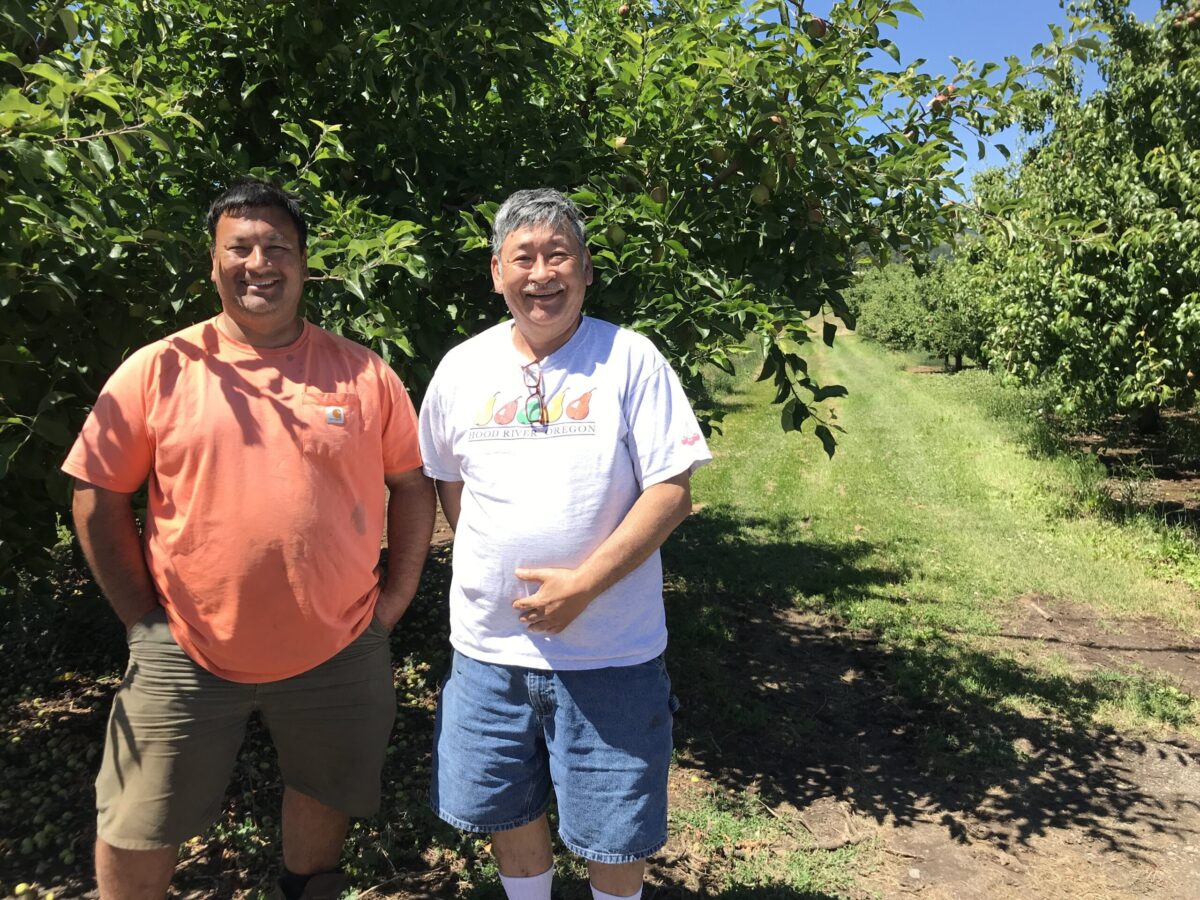 A father and son stand in front of an orchard.