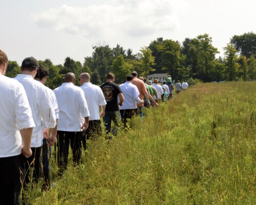 Farm to Fork Profile: New Creation Farm and a Partnership that Feels Like Family