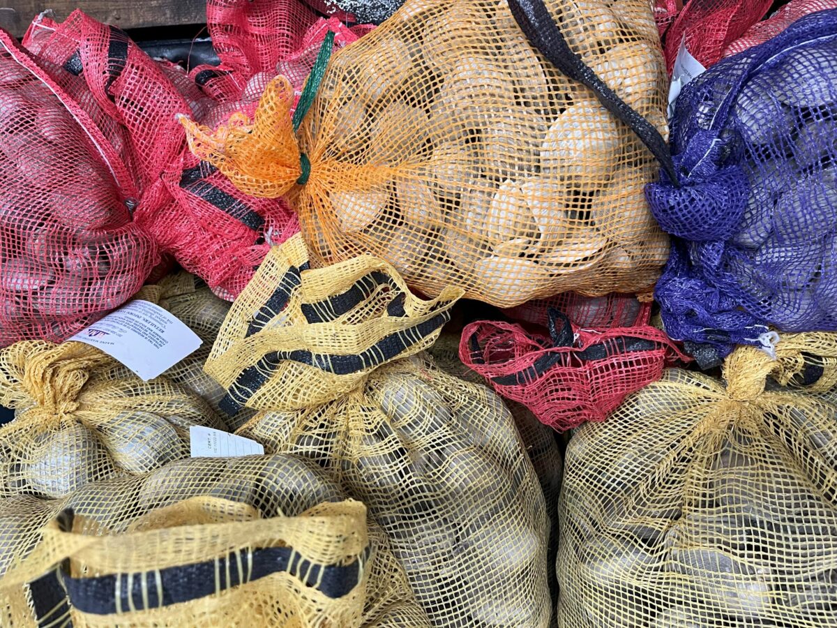 Colorful bags of clams in a bin. 