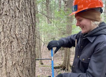 From Kitchen Counter to Campus Kitchens: My Journey to Sustainable Food Service