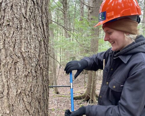 From Kitchen Counter to Campus Kitchens: My Journey to Sustainable Food Service