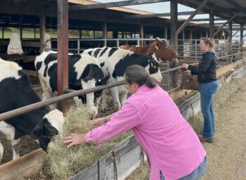 Getting into the Cooperative Spirit with Tollgate Farms and Hudson Valley Fresh Dairy