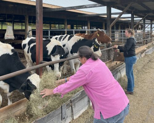 Getting into the Cooperative Spirit with Tollgate Farms and Hudson Valley Fresh Dairy