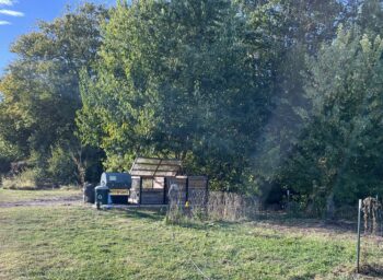 Turning the Tides of Campus Composting at Knox College