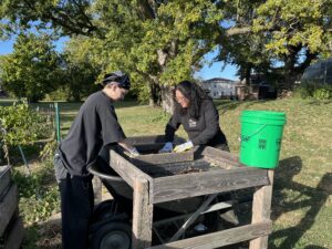 Two students stand outdoors at a wooden table, sifting compost. 