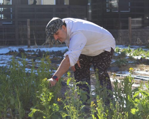 Farm to Fork Profile: FrontLine Farming Grows Food and Community